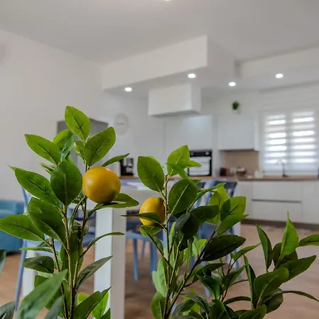 Rosy Apartment *